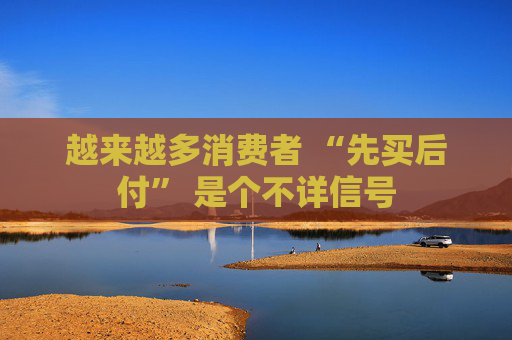 越来越多消费者 “先买后付” 是个不详信号 第1张 越来越多消费者 “先买后付” 是个不详信号 第1张