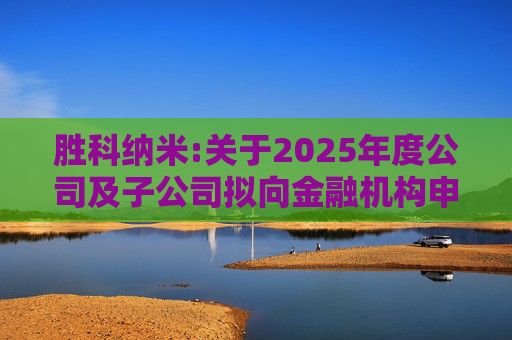 胜科纳米:关于2025年度公司及子公司拟向金融机构申请授信额度及公司为子公司提供担保额度预计的公告