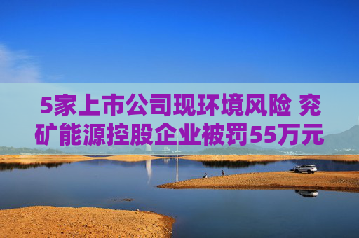 5家上市公司现环境风险 兖矿能源控股企业被罚55万元  第1张