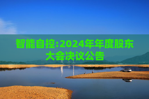 智能自控:2024年年度股东大会决议公告