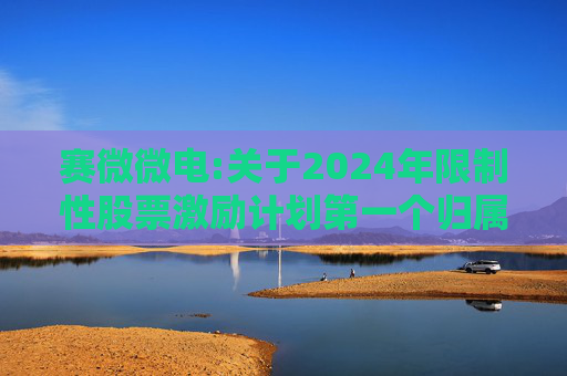 赛微微电:关于2024年限制性股票激励计划第一个归属期归属条件成就的公告