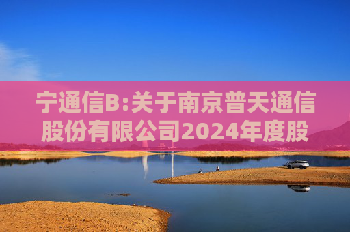 宁通信B:关于南京普天通信股份有限公司2024年度股东大会的法律意见书