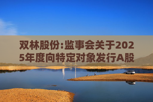 双林股份:监事会关于2025年度向特定对象发行A股股票的书面审核意见