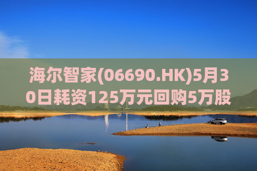 海尔智家(06690.HK)5月30日耗资125万元回购5万股A股