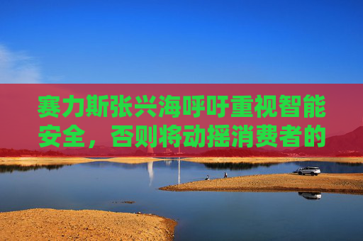 赛力斯张兴海呼吁重视智能安全,否则将动摇消费者的信心