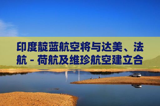印度靛蓝航空将与达美、法航 - 荷航及维珍航空建立合作 第1张 印度靛蓝航空将与达美、法航 - 荷航及维珍航空建立合作 第1张