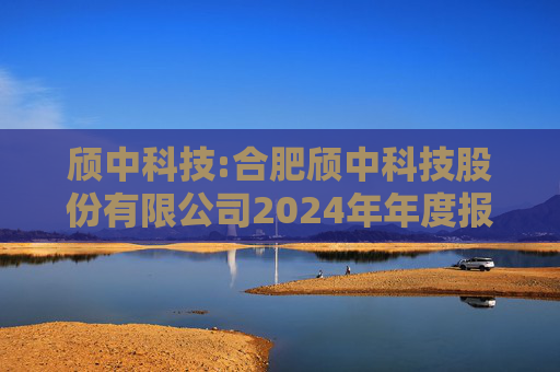 颀中科技:合肥颀中科技股份有限公司2024年年度报告