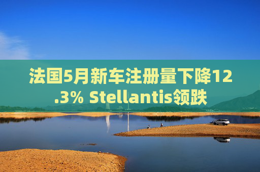 法国5月新车注册量下降12.3% Stellantis领跌