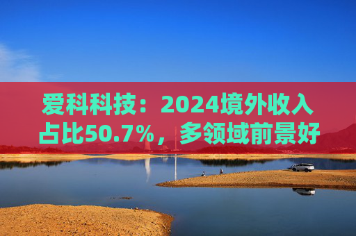 爱科科技：2024境外收入占比50.7%，多领域前景好  第1张