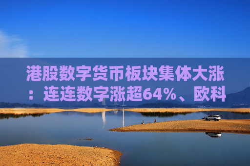 港股数字货币板块集体大涨：连连数字涨超64%、欧科云链涨超41%