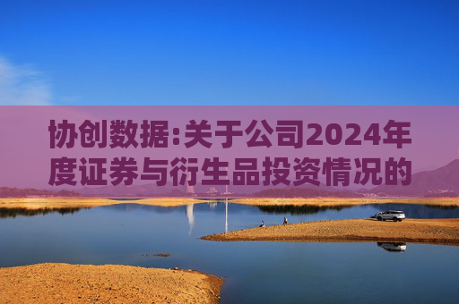 协创数据:关于公司2024年度证券与衍生品投资情况的专项报告