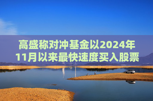 高盛称对冲基金以2024年11月以来最快速度买入股票