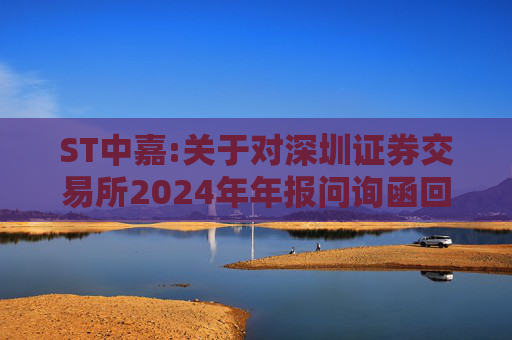 ST中嘉:关于对深圳证券交易所2024年年报问询函回复的公告