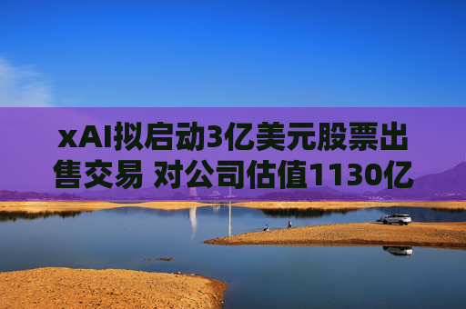 xAI拟启动3亿美元股票出售交易 对公司估值1130亿美元