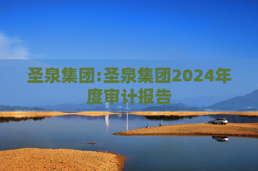 圣泉集团:圣泉集团2024年度审计报告