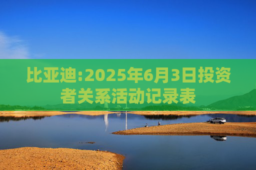 比亚迪:2025年6月3日投资者关系活动记录表