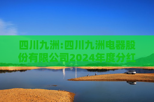 四川九洲:四川九洲电器股份有限公司2024年度分红派息实施公告  第1张
