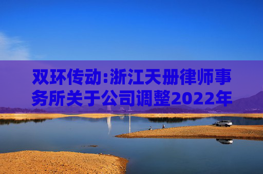 双环传动:浙江天册律师事务所关于公司调整2022年股票期权激励计划行权价格的法律意见书