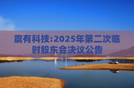 震有科技:2025年第二次临时股东会决议公告