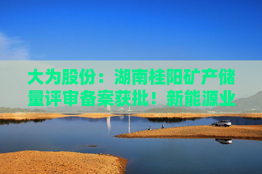 大为股份：湖南桂阳矿产储量评审备案获批！新能源业务布局的关键里程碑