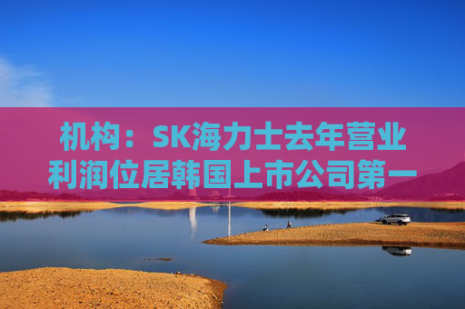机构：SK海力士去年营业利润位居韩国上市公司第一，首次超过三星电子  第1张