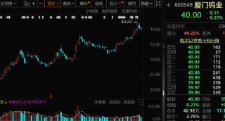 价格暴涨28.8万元/吨，600549，历史新高！