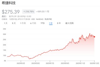 2025年美股最强Top 10，存储占了3只