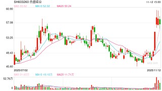 合盛硅业转亏股东清仓式减持：固定资产在建工程有息负债均超300亿 直接融资109亿后拟再大规模募资