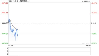 黄金飙升后另一面：美元在全球储备中的地位降至数十年来最低