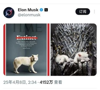 复活1万多年前“冰原狼”！马斯克发帖表关注