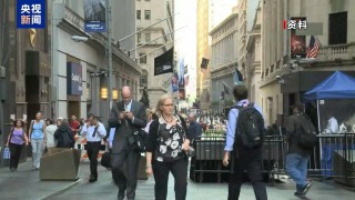 美经济分析人士：美“对等关税”政策是重大误判