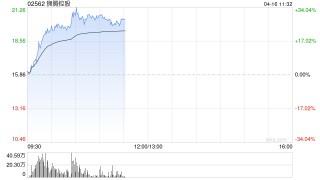 狮腾控股早盘持续上涨逾29% 跨境电商排名大幅上升