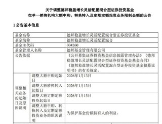 GEO概念火到基金圈，德邦稳盈增长基金触发限购，23年因老婆买基金而多做家务的雷涛收益回暖