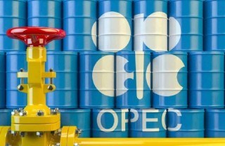 与会代表：OPEC+可能仍会维持2026年初暂停增产的决定