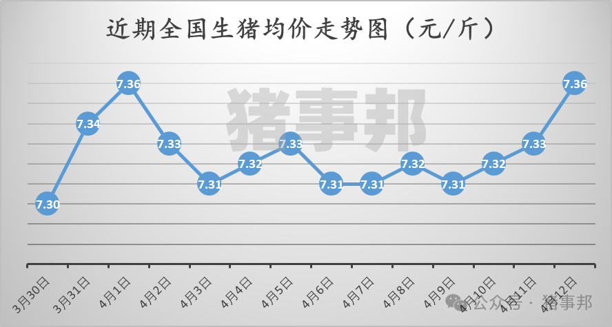 猪事邦||4月12日猪价汇总（“二育”升温，北涨南稳！）  第2张