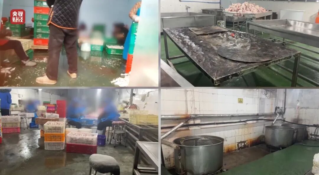 荐股亏损玩消失、万能神药是三无产品、给AI大模型投毒.....“3·15”晚会曝光了这些  第10张